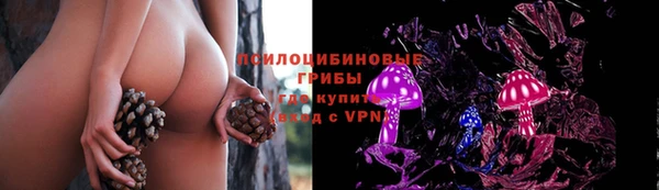 соль курить ск Арсеньев