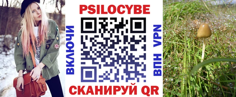 Псилоцибиновые грибы Psilocybe  дарнет шоп  Юрьев-Польский 